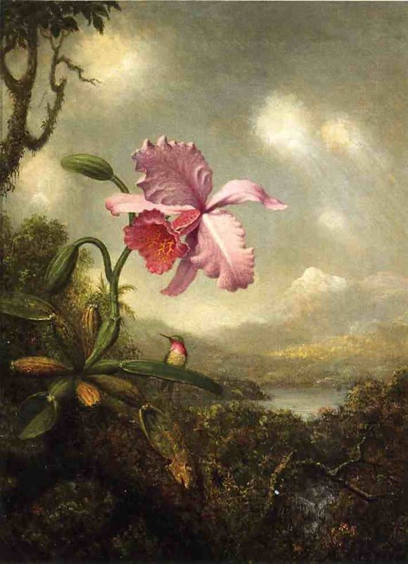 Martin Johnson Heade Hummingbird and Orchid, Sun Breaking Through the Clouds